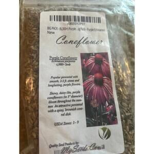Coneflower seeds 6.000 plus seeds.